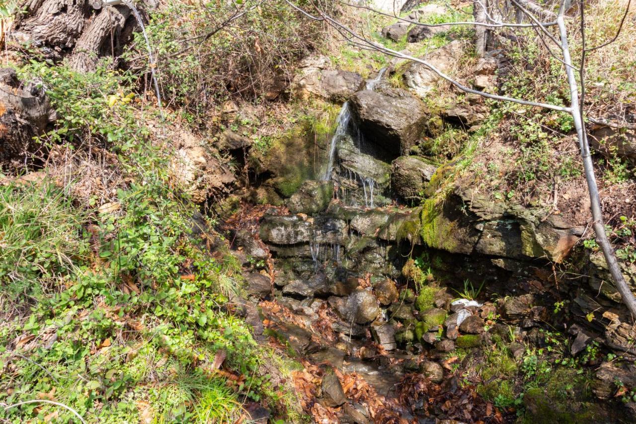 فيلا Cortijo La Encinilla Lanjarón المظهر الخارجي الصورة